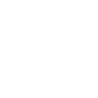 The Louise Company