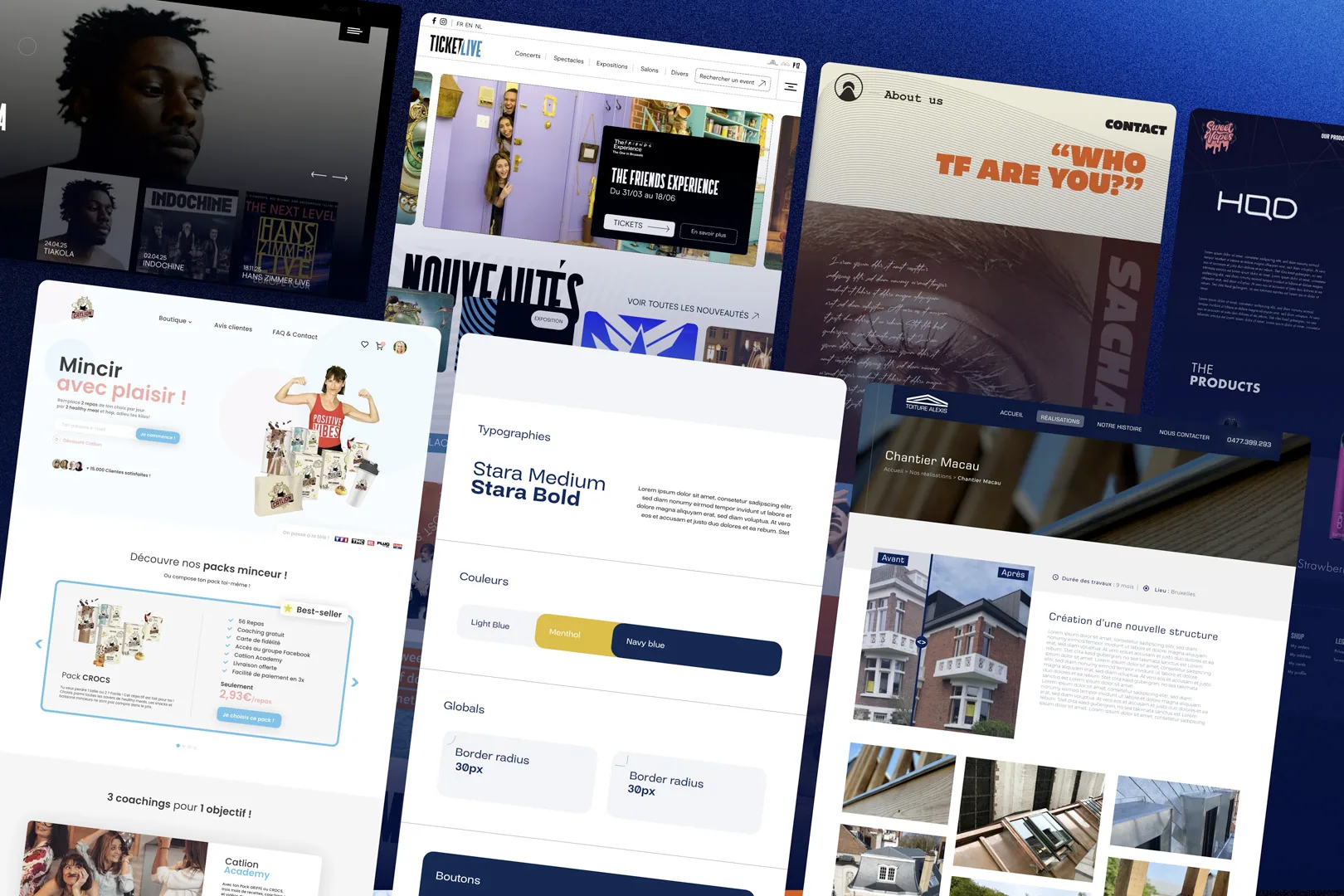 Aperçu de sites réalisés par Digital Master : ING Arena, Ticketlive, Catlion, Vizio Capital, Alexis Toiture
